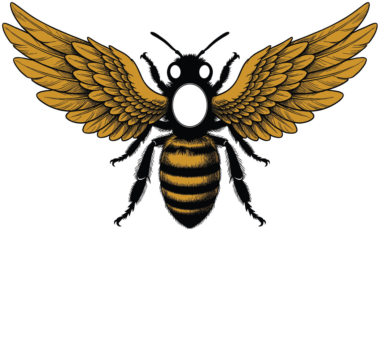 BN Scents